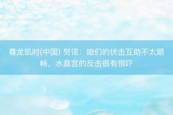 尊龙凯时(中国) 努诺：咱们的伏击互助不太顺畅，水晶宫的反击很有恫吓