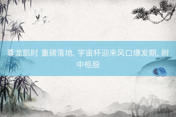 尊龙凯时 重磅落地， 宇宙杯迎来风口爆发期， 附中枢股