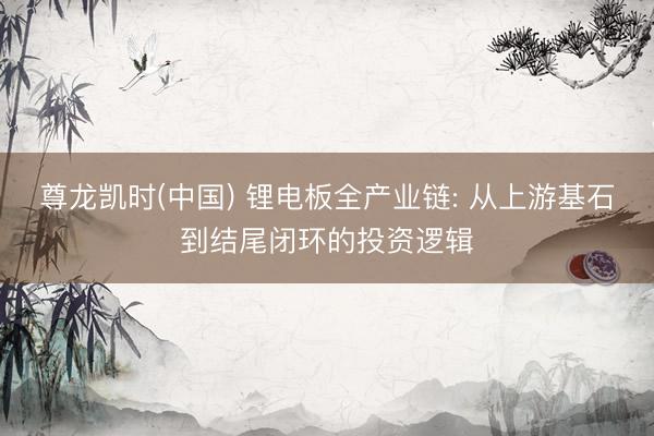 尊龙凯时(中国) 锂电板全产业链: 从上游基石到结尾闭环的投资逻辑