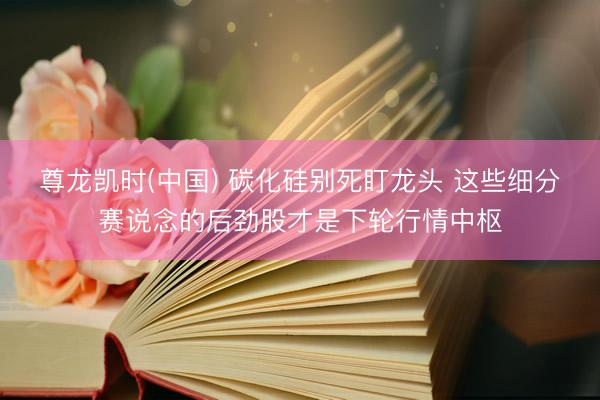 尊龙凯时(中国) 碳化硅别死盯龙头 这些细分赛说念的后劲股才是下轮行情中枢