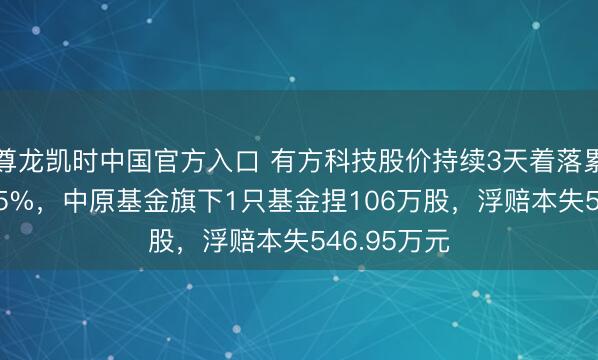 尊龙凯时中国官方入口 有方科技股价持续3天着落累计跌幅7.55%，中原基金旗下1只基金捏106万股，浮赔本失546.95万元