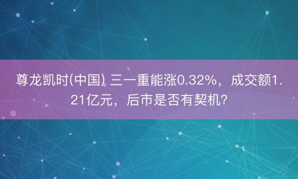尊龙凯时(中国) 三一重能涨0.32%，成交额1.21亿元，后市是否有契机？