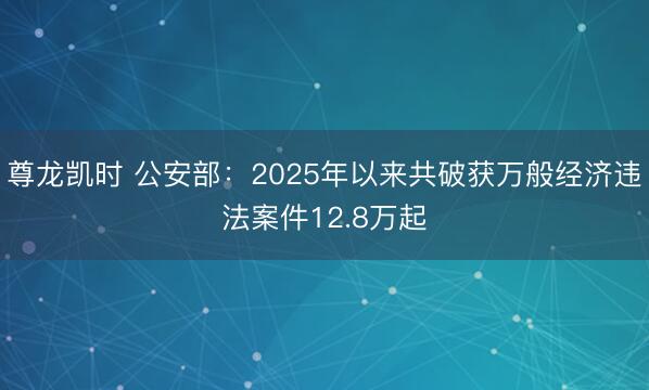 尊龙凯时 公安部：2025年以来共破获万般经济违法案件12.8万起