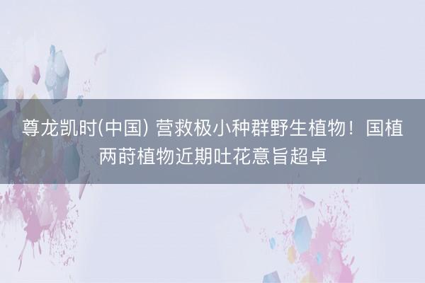 尊龙凯时(中国) 营救极小种群野生植物!国植两莳植物近期吐花意旨超卓