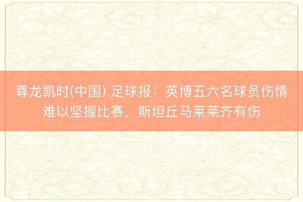 尊龙凯时(中国) 足球报：英博五六名球员伤情难以坚握比赛，斯坦丘马莱莱齐有伤