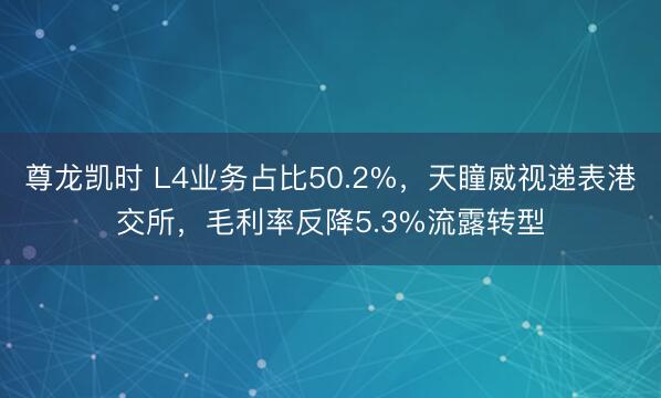尊龙凯时 L4业务占比50.2%，天瞳威视递表港交所，毛利率反降5.3%流露转型