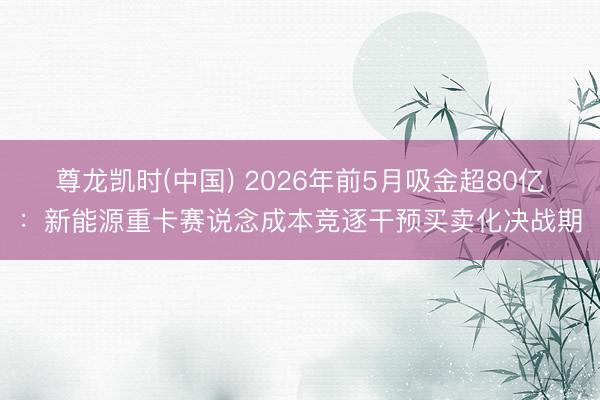 尊龙凯时(中国) 2026年前5月吸金超80亿：新能源重卡赛说念成本竞逐干预买卖化决战期