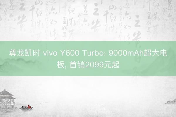 尊龙凯时 vivo Y600 Turbo: 9000mAh超大电板， 首销2099元起