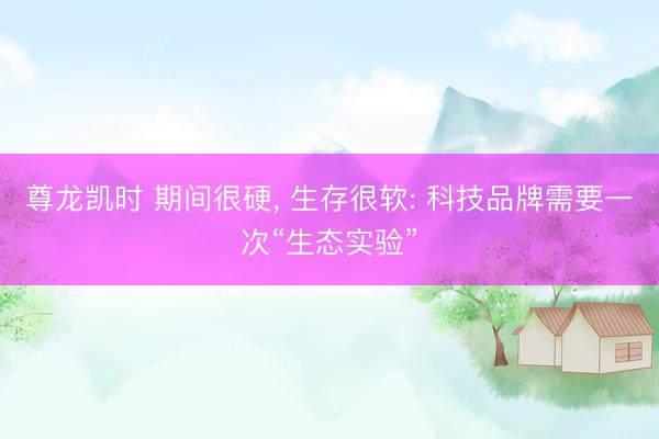 尊龙凯时 期间很硬， 生存很软: 科技品牌需要一次“生态实验”