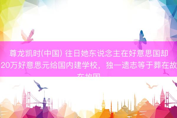 尊龙凯时(中国) 往日她东说念主在好意思国却花20万好意思元给国内建学校，独一遗志等于葬在故国