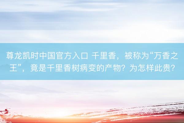 尊龙凯时中国官方入口 千里香，被称为“万香之王”，竟是千里香树病变的产物？为怎样此贵？