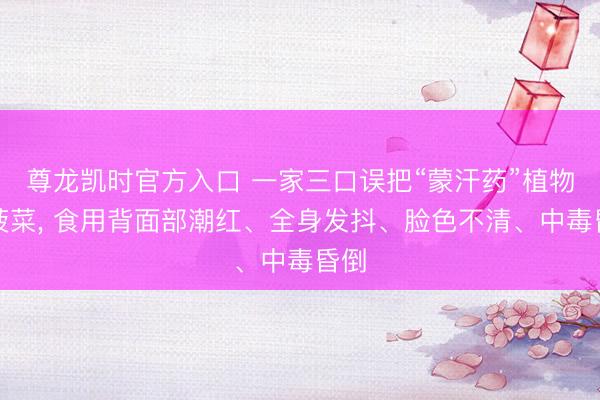 尊龙凯时官方入口 一家三口误把“蒙汗药”植物当菠菜， 食用背面部潮红、全身发抖、脸色不清、中毒昏倒