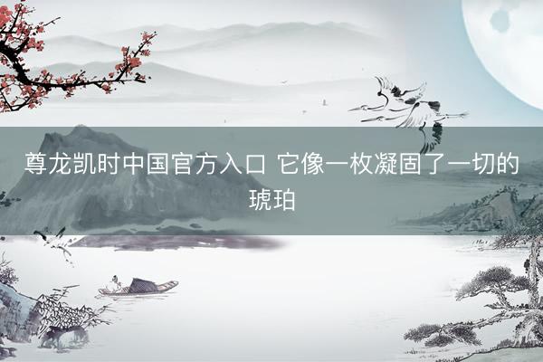 尊龙凯时中国官方入口 它像一枚凝固了一切的琥珀