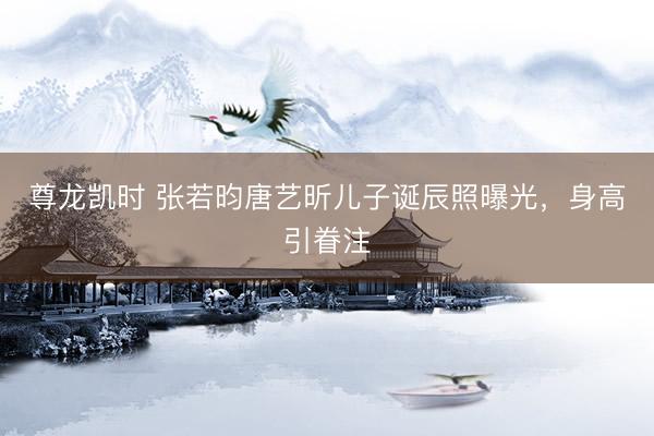 尊龙凯时 张若昀唐艺昕儿子诞辰照曝光，身高引眷注