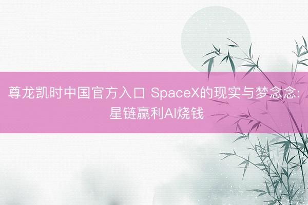尊龙凯时中国官方入口 SpaceX的现实与梦念念: 星链赢利AI烧钱