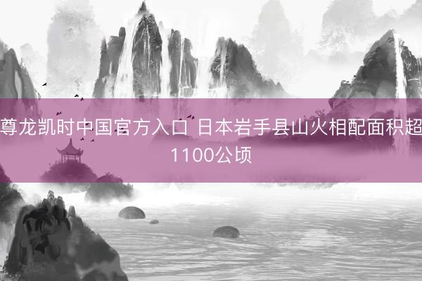 尊龙凯时中国官方入口 日本岩手县山火相配面积超1100公顷