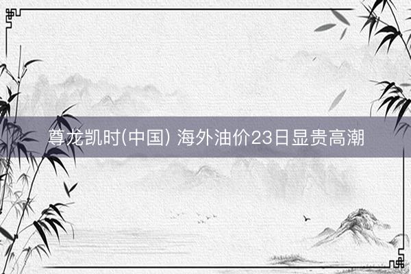 尊龙凯时(中国) 海外油价23日显贵高潮