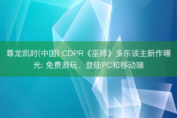 尊龙凯时(中国) CDPR《巫师》多东谈主新作曝光: 免费游玩、登陆PC和移动端